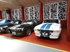 P7250578 P7250578