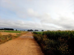 DSCN6458 DSCN6458