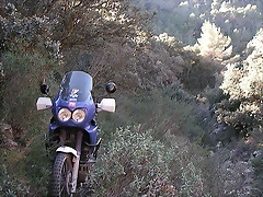 africa senda.2