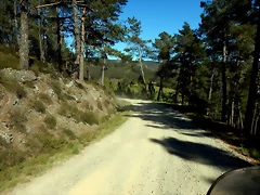 DSCN8966 DSCN8966
