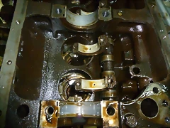 P1000312