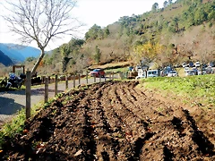 DSCN0277 DSCN0277