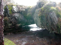 DSCN7664 DSCN7664