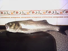 No tengo peso