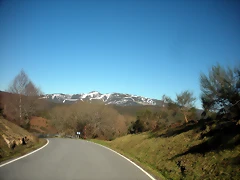 DSCN2937 DSCN2937