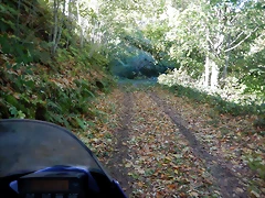 DSCN0046 DSCN0046