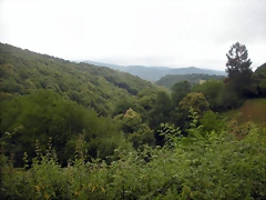 DSCN4783 DSCN4783