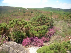 DSCN5375