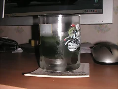 orujo orujo