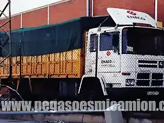 pegasoesmicamion.com PEGASO