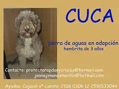 CUCA Sevilla