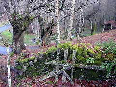 DSCN7319