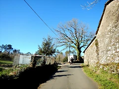 DSCN1673 DSCN1673