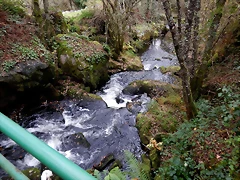 DSCN1299