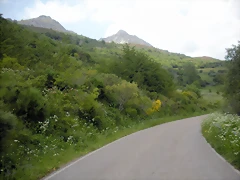 DSCN3492 DSCN3492