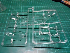 DSCN5572 DSCN5572