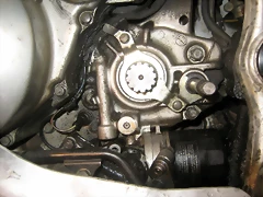 IMG_0299 IMG_0299