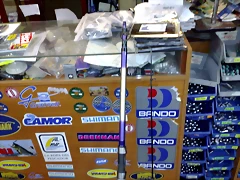 07072010568 07072010568