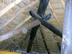 DSCN7796 DSCN7796