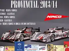 Provincial 2013-14 Ninco