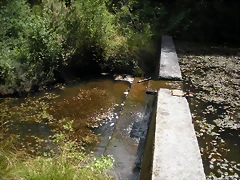 DSCN5348 DSCN5348