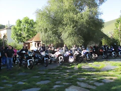 IMG_1488 IMG_1488