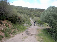 DSCN3978 DSCN3978