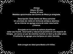 Descripcion almeja Descripcion almeja