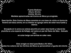 Descripcion fuente mediana Descripcion fuente mediana