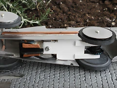 P8110023 P8110023
