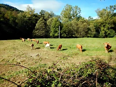DSCN9133 DSCN9133