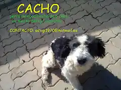 CACHO Ecija