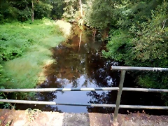 DSCN8406