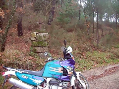 DSCN5308 DSCN5308