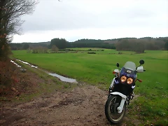 DSCN5310 DSCN5310