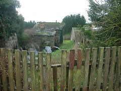 DSCN5312 DSCN5312