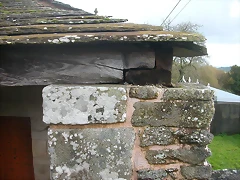 DSCN4704 DSCN4704