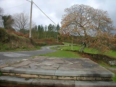 DSCN4708 DSCN4708