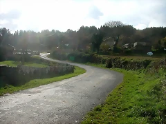 DSCN4700 DSCN4700
