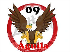 aguila