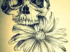 pen_skull_flower_pt1_by_olkabolka1123-d5kluw4