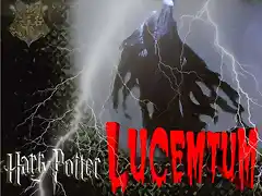 Firma lucemtum