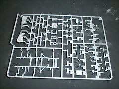 P6110026