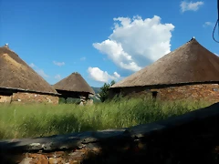 DSCN2342 DSCN2342