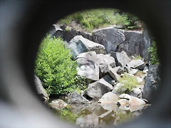 IMG_2792 IMG_2792