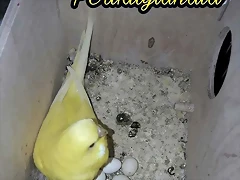 FB_IMG_1501748089624 FB_IMG_1501748089624