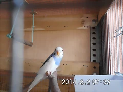 CIMG0430 CIMG0430