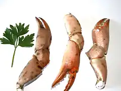 Bocas de cangrejo moruno
