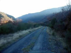 DSCN6947