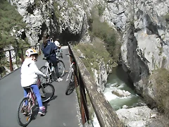 R0012343 R0012343